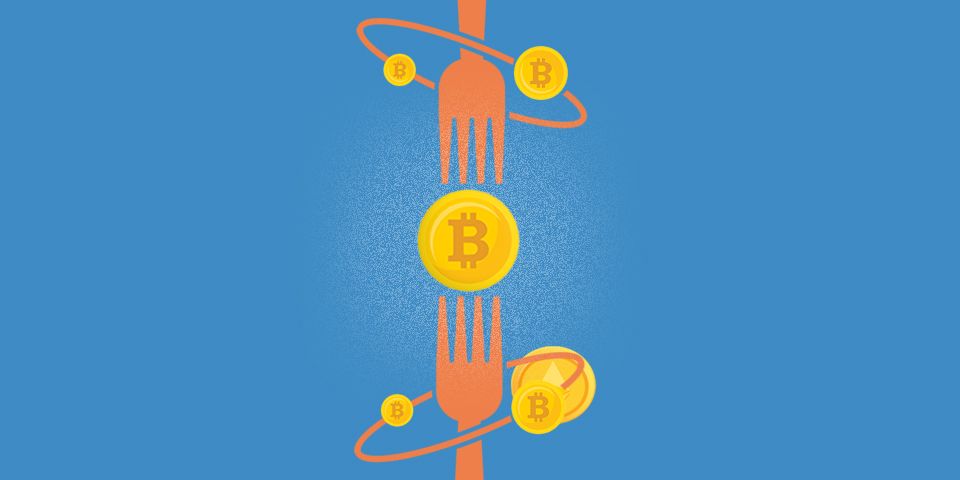 Learn about Blockchain Forks and how they create new cryptocurrencies